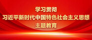 我爱AV操BwwwCom学习贯彻习近平新时代中国特色社会主义思想主题教育_fororder_ad-371X160(2)